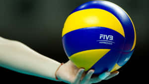 一隻手拿著一個藍黃相間、經FIVB認證的排球。 — 排球 壁紙