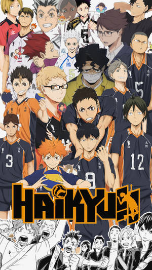 Haikyuu!!動漫角色穿著排球制服充滿活力地擺姿勢。