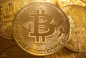 一堆帶有電路板設計的金色比特幣硬幣。