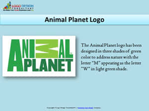 白色背景上的綠色 Animal Planet 標誌及描述文字。