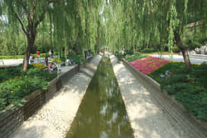 人們在石徑旁放鬆，旁邊是一條水道，兩旁種滿垂柳和色彩繽紛的花朵。
