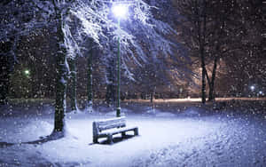 積雪覆蓋的長凳在冬日公園中，被街燈照亮，雪花飄落。