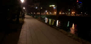 河邊夜徑倒映城市燈光和光禿禿的樹木。