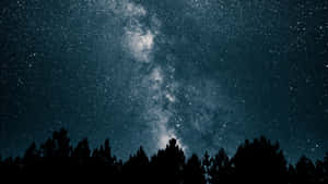 夜晚，銀河系在松樹林上方閃耀。 — 月色夜空 壁紙