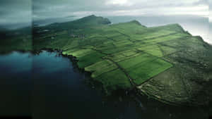 海岸島嶼上綠色農田的鳥瞰圖，有懸崖和海洋。