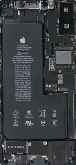iPhone 內部顯示電池和 Taptic Engine