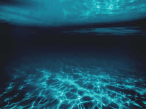 綠松石色的光波在黑暗的水下泳池地板上舞動。 — 珊瑚 壁紙