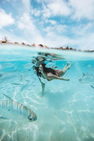 女士在清澈的藍色熱帶海水中與魚兒一起游泳。