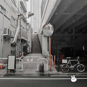 單色調的城市小巷，樓梯、單車和摩天大樓。 — 灰色美學 GIF 壁紙