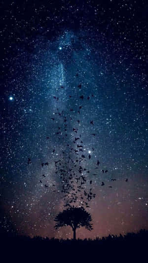 一棵樹的剪影，鳥兒飛向繁星夜空。