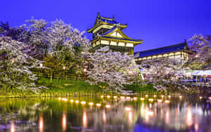 夜晚被照亮的日本城堡，周圍環繞櫻花，水面倒影。