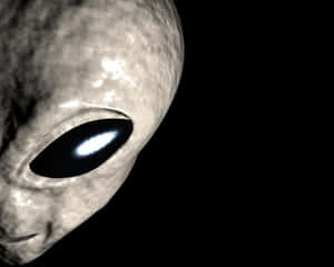 灰色外星人在黑暗中有一隻發光的大眼睛 — 外星人 壁紙