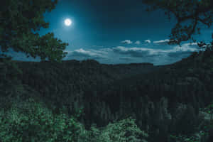 月光照耀下的森林山谷，夜間被樹枝框住。