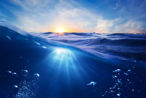 夕陽的光線穿過海浪，氣泡在水下漂浮。 — 水下 壁紙