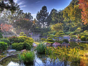 一個寧靜的日本花園池塘，有秋葉和石橋。