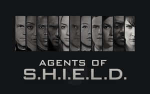 九張黑白嚴肅面孔，下方有 Agents of S.H.I.E.L.D. 標題。 — 漫威超級英雄 壁紙