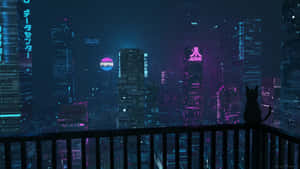 陽台上的一隻黑貓凝視著夜晚發光的霓虹城市。