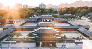 日落時分的傳統韓國宮殿建築群，帶有秋葉和背景中的現代建築 — 韓國 壁紙