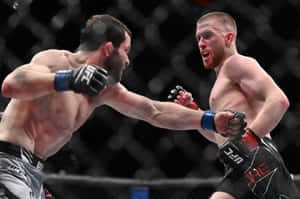 兩名男性MMA拳手在八角籠內互相揮拳。