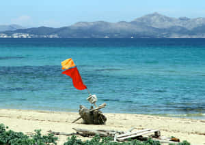 沙灘浮木上的紅黃色沙灘旗，配以碧綠海水和山巒。