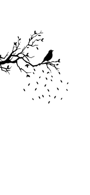 一隻黑鳥坐在光禿禿的樹枝上，樹葉在周圍飄落。