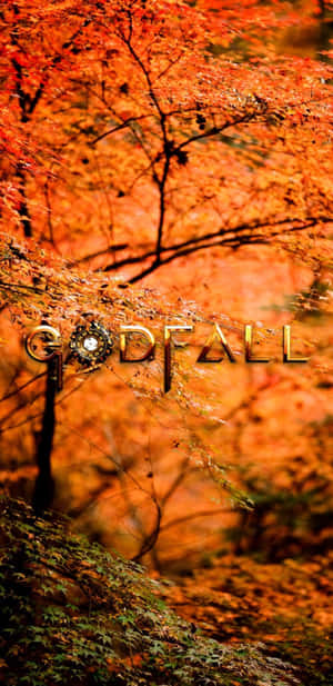 秋日森林，帶有火熱的橙色樹葉和「GODFALL」遊戲標誌。 — Galaxy S10 壁紙