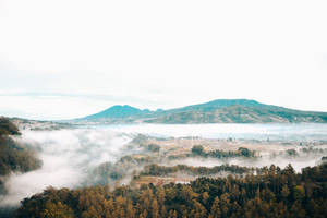 多雲天空下，有森林和山脈的霧氣早晨景觀 — 迷霧森林 壁紙