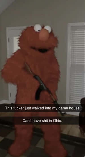 Elmo 服裝拿著步槍，疊加有關俄亥俄州的文字。