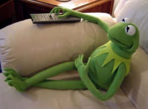 綠色Kermit the Frog毛公仔喺梳化上揸住遙控器放鬆。