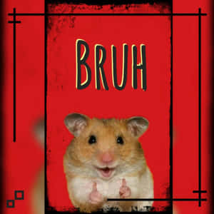 倉鼠張開嘴巴和舉起爪子，在紅色背景上帶有BRUH文字。