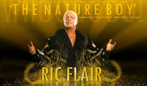 Ric Flair 身穿黑色羽毛外套，搭配金色文字和閃爍效果。
