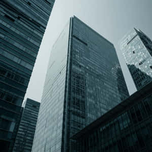 現代玻璃摩天大樓在陰天背景下聳立於密集的城市環境中。 — 設計 壁紙