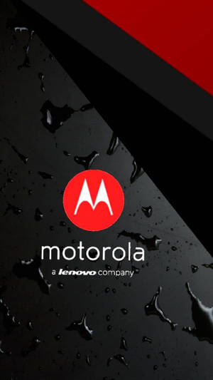 Motorola 標誌位於潮濕黑色表面上，帶有紅色斜紋 — Motorola 壁紙