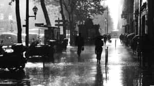 人們撐著雨傘在黃昏時分沿著雨中的城市街道行走，潮濕的路面反射出倒影。 — 天氣 壁紙