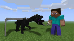 Minecraft角色與黑色龍在方塊天空下的草地上 — 龍 壁紙