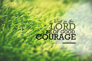 草地上的文字疊加顯示「Wait on the LORD BE OF GOOD COURAGE PSALMS 27:14」