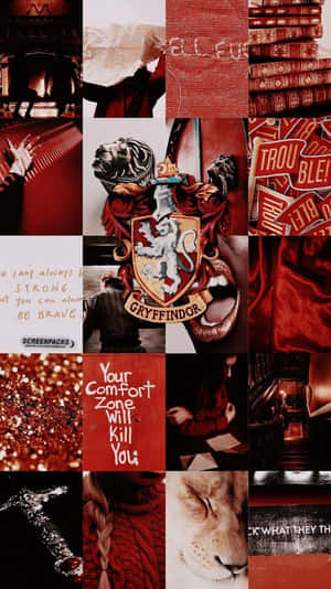 葛萊芬多拼貼畫，包含獅子、書籍、名言和紅色調。