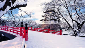 被雪覆蓋的紅色橋樑通往冬季的傳統日本城堡。