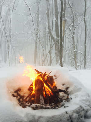 一個營火在白雪皚皚的冬季森林中發光，周圍是光禿禿的樹木。 — 冬日美學 壁紙