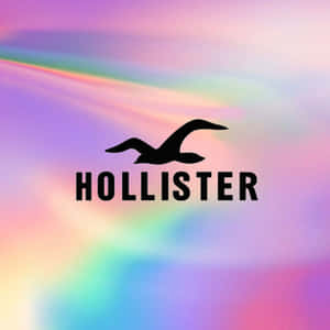 Hollister標誌，帶有海鷗剪影，置於彩色虹彩背景上