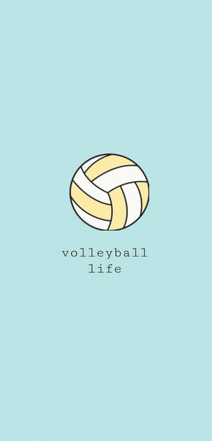 一個風格化的排球，在青綠色背景上有文字 volleyball life。
