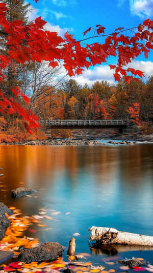 秋日河景，紅葉與木橋，藍天白雲