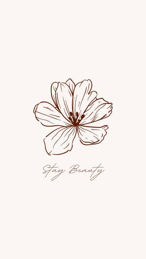 一朵簡單的棕色線條畫花，下方有「Stay Beauty」字樣。 — 粉紅動漫美學 壁紙