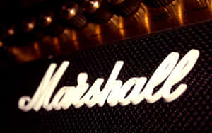 Marshall擴音器標誌，黑色網格上白色發光字體，金色旋鈕。