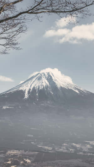 從上方俯瞰白雪皚皚的富士山，前景是光禿的樹枝。