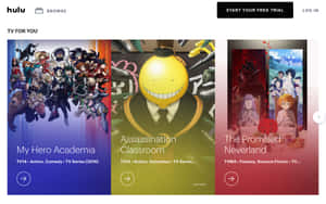 Hulu 首頁顯示《我的英雄學院》、《暗殺教室》和《約定的夢幻島》的動畫電視劇海報。