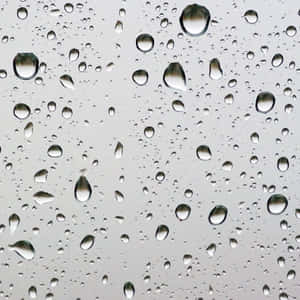 玻璃窗上的雨滴映照灰色天空