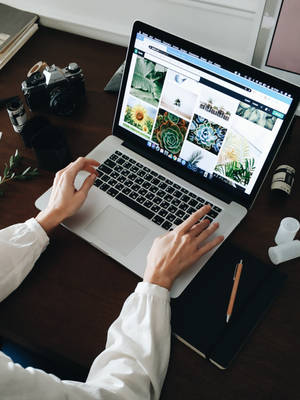 Person typing on laptop showing plant wallpaper gallery at wooden desk with camera