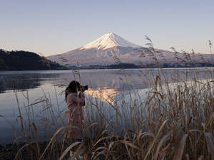 穿著粉紅色外套的人在有蘆葦的湖上日出時拍攝富士山照片。