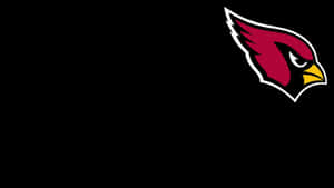 黑色背景上的亞利桑那紅雀隊NFL球隊標誌